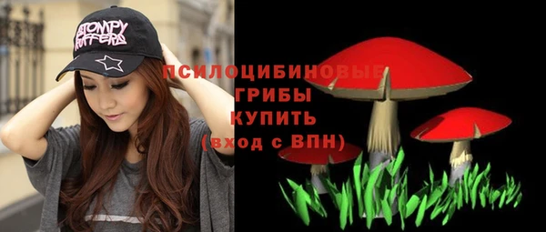 mix Алексин