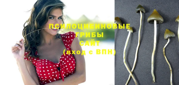 а пвп мука Алзамай