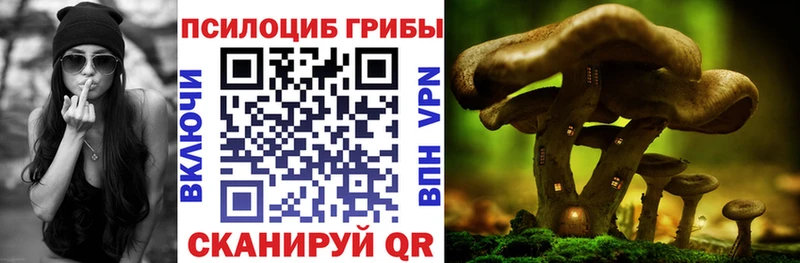 купить наркотик  MEGA сайт  Галлюциногенные грибы ЛСД  Ардон 